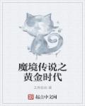 美女总裁的全能高手