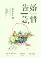 大主宰灵器等级