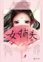 大主宰灵器划分
