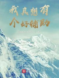 我是掌门人破解版金手指完结