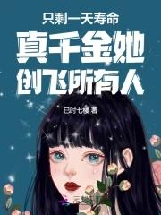 婚规电视剧在线看