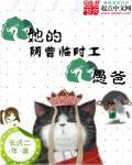 律师老公太彪悍全文阅读