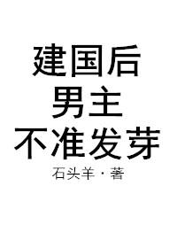 续南明txt
